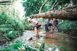 BIB: 
                            <button type="button" onclick="openModal(25514709)" class="btn btn-primary btn-sm float-right btn-popup" data-toggle="modal" data-target=".modal-high-quality">
                        <i class="fas fa-shopping-cart"></i> Add to Cart
                    </button>
                                            <button type="button" onclick="isThisMe(25514709, true)" class="btn btn-success btn-sm float-right btn-popup btn-isme hidden" data-toggle="tooltip" data-placement="bottom" title="นี่คือรูปของคุณใช่ไหม คลิกที่นี่เพื่อเอาเข้าอัลบั้ม">
                        <i class="fas fa-plus"></i> Add to album
                    </button>
                    <button type="button" onclick="isThisMe(25514709, false)" class="btn btn-warning btn-sm float-right btn-popup btn-isnotme hidden">
                        <i class="fas fa-ban"></i> Remove from album
                    </button>